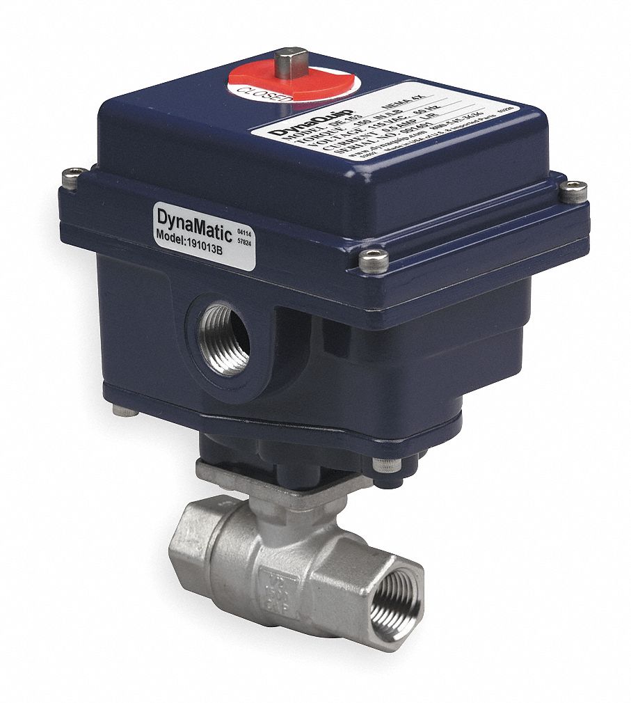 Ball Valve, 3/4 In FNPT, 115 Volt, SS
