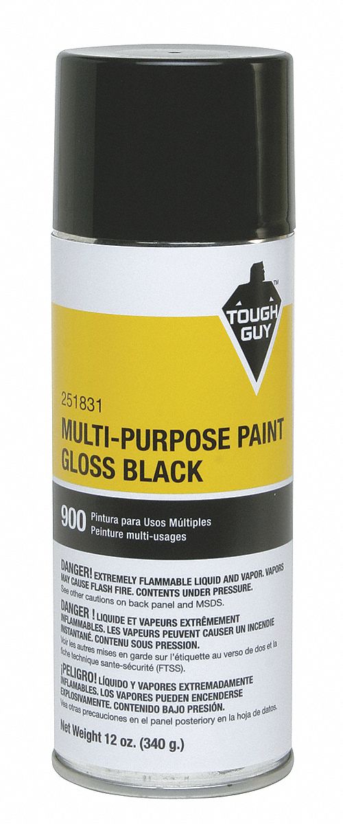 Spray Paint, Gloss Black, 12 oz.