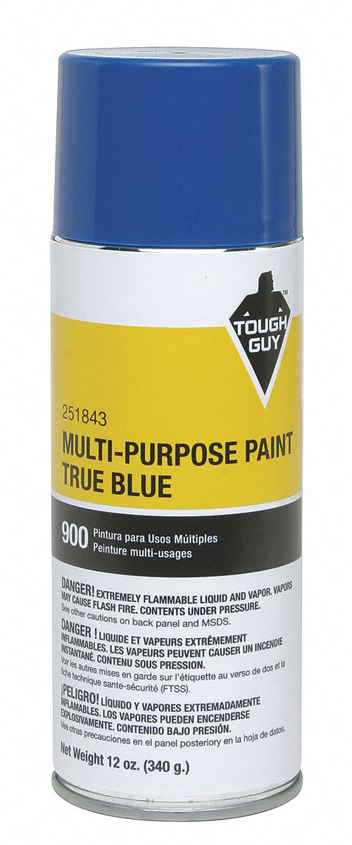 Spray Paint, True Blue, 12 oz.