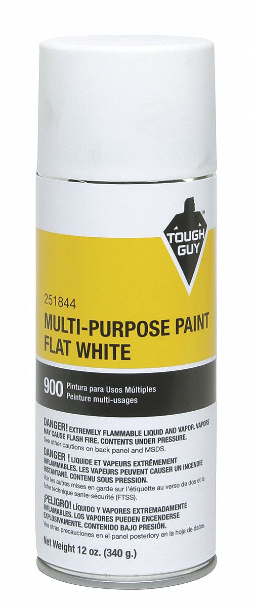 Spray Paint, Flat White, 12 oz.