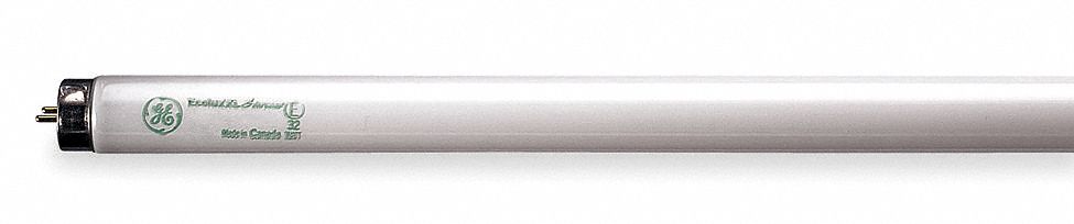 Fluorescent Linear Lamp, T8, Cool, 4100K