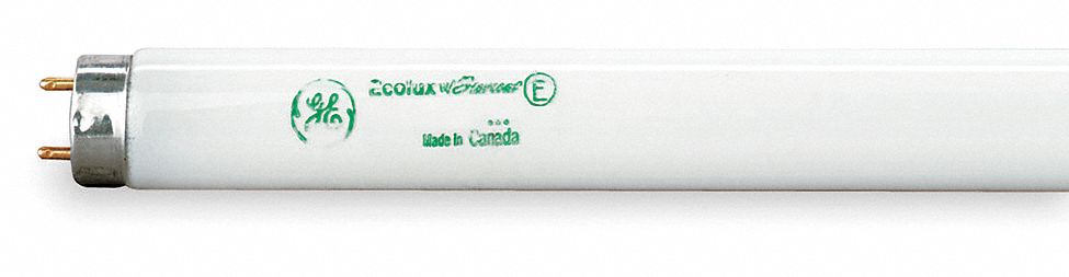 Fluorescent Lamp, T8, Very Cool, 5000K