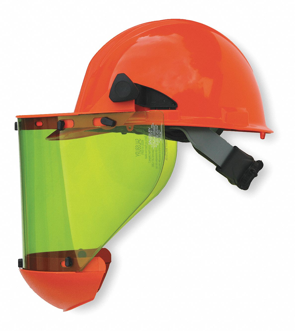 Face Shield System