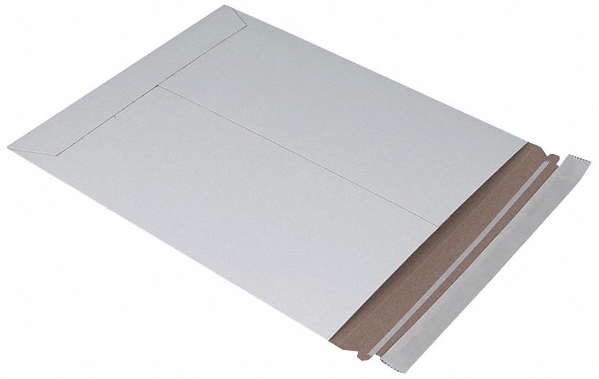 Mailer Envelope, 9-3/4 In. L, PK 100
