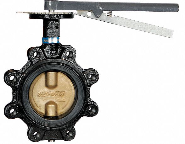 Butterfly Valve, Lug Style, Size 5 In
