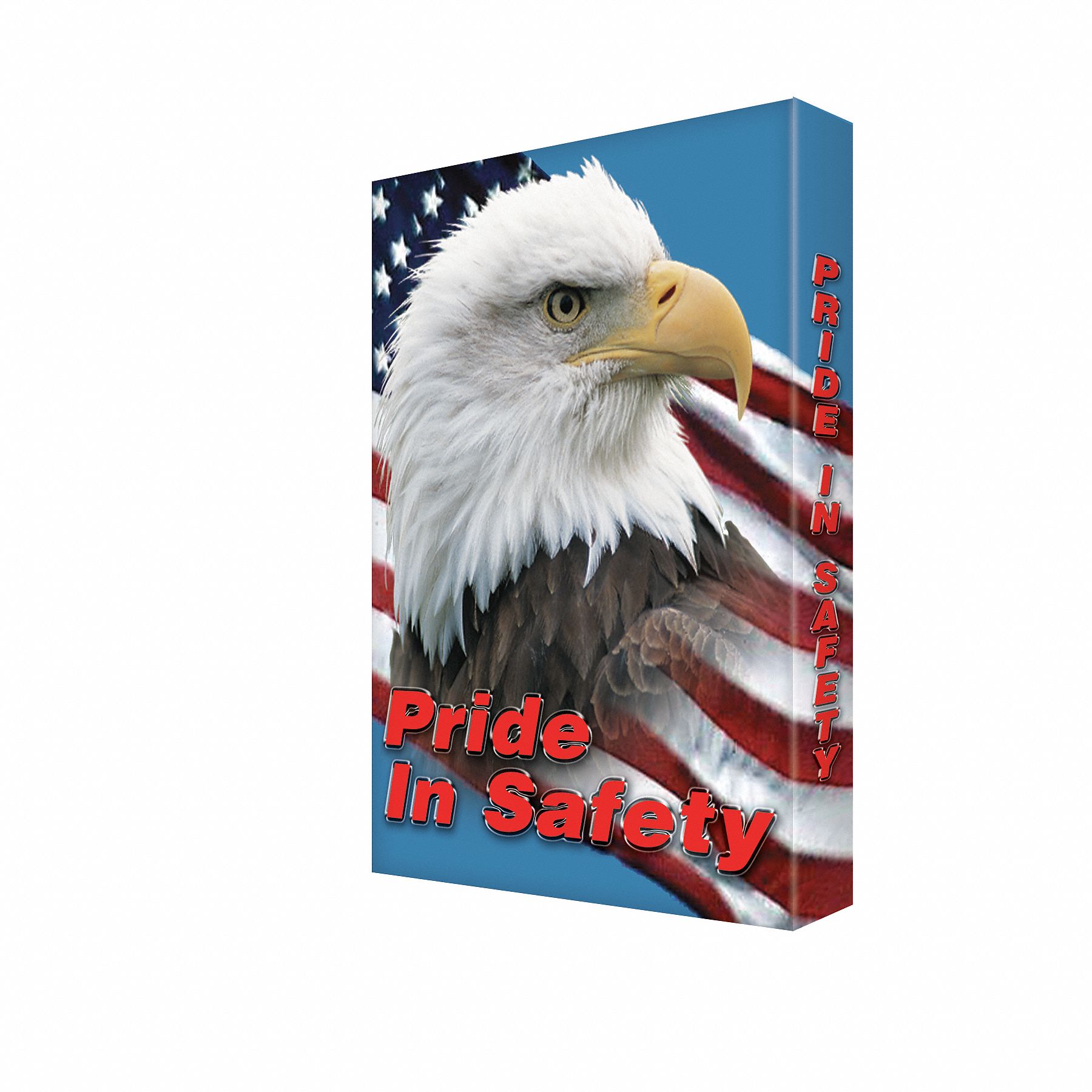 Sign, 24x18 In, Pride In Safety