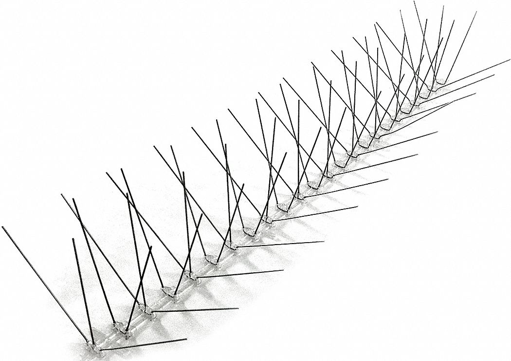 Bird Spike Kit, 100 Linear ft, S Steel