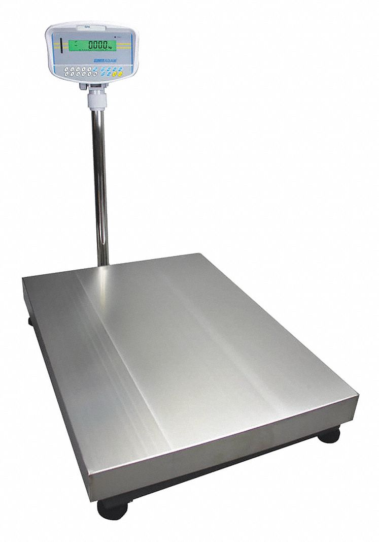 Pltfrm Scale, SS Pltfrm, 75kg/165 lb. Cap.