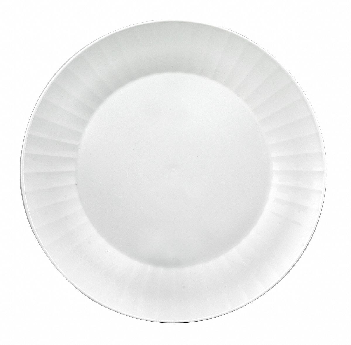 Disposable Plate, 10 1/4 In, White, PK 120