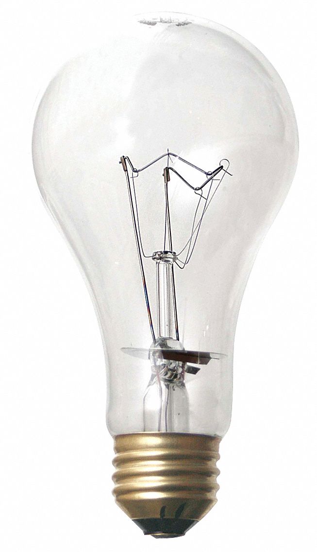 Incandescent Light Bulb, A19, 100W
