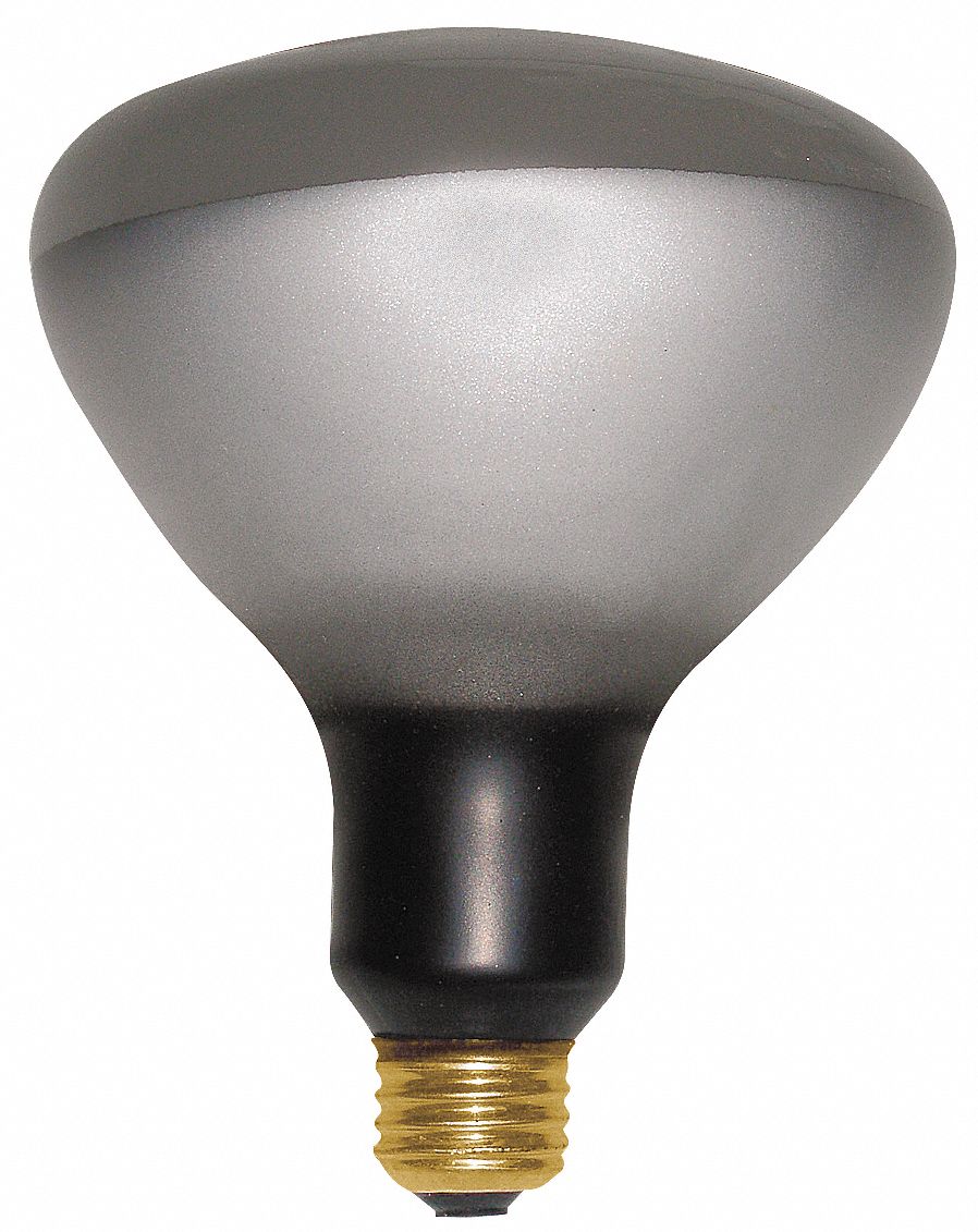 Incandescent Floodlight, R40, 400W