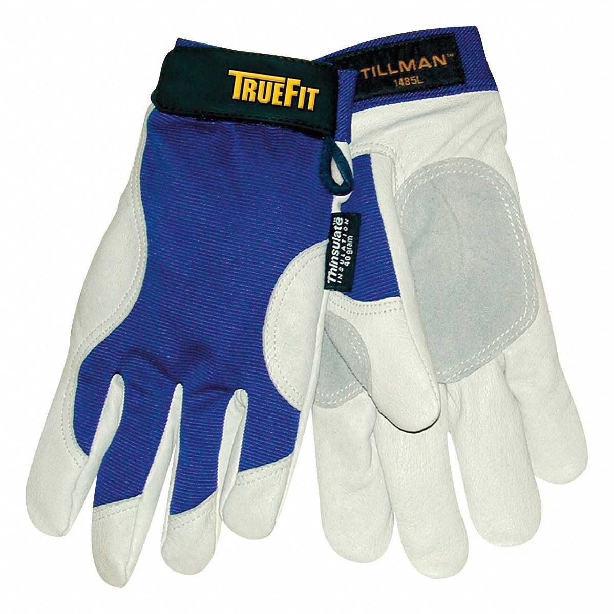 Cold Protection Gloves, L, Bl/Pearl Gry, PR
