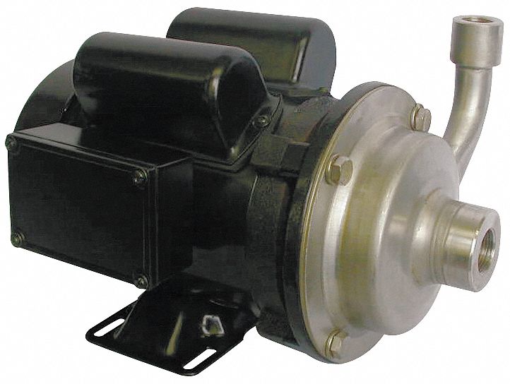 Pump, Centrifugal, SS, 1/3 HP, 1 PH