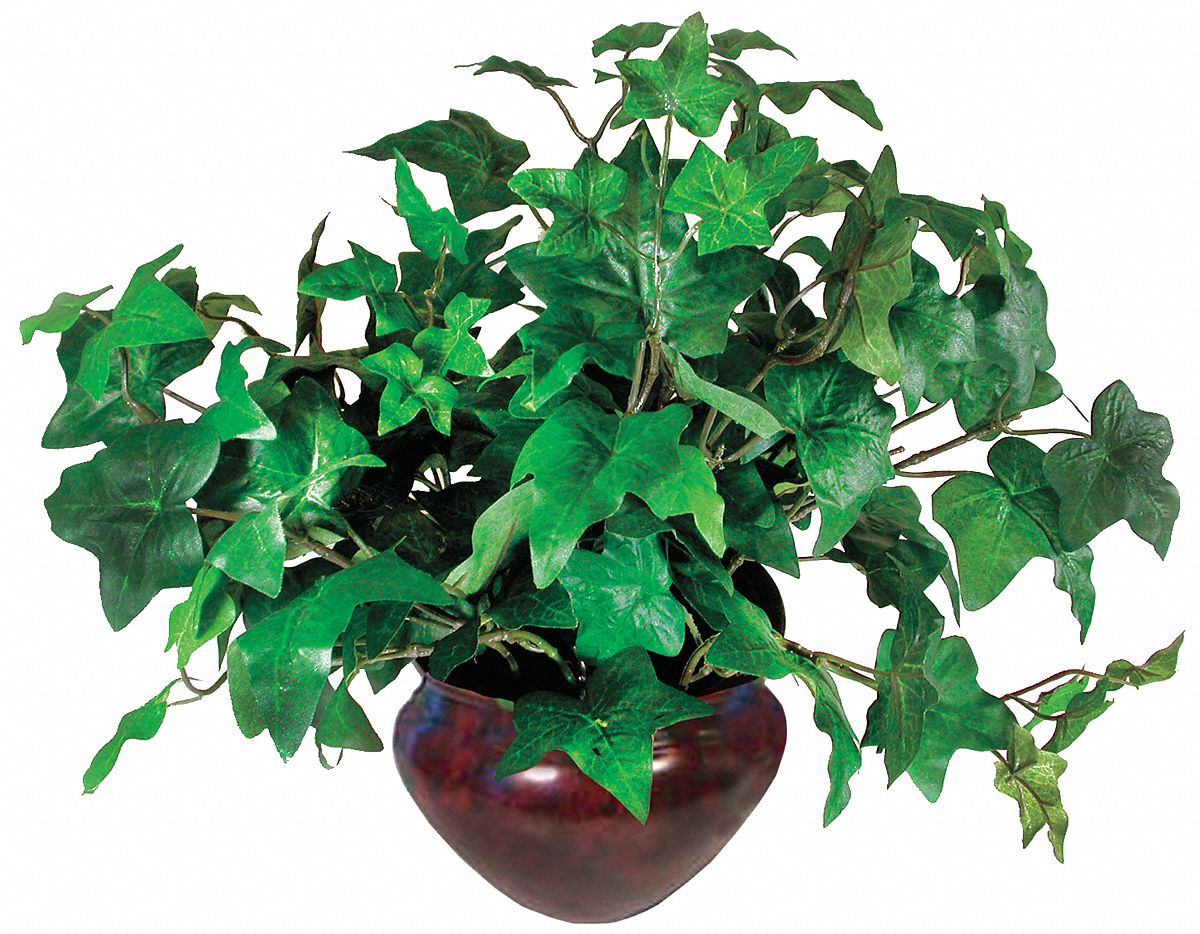 Ivy Plant, Silk, 7 In.