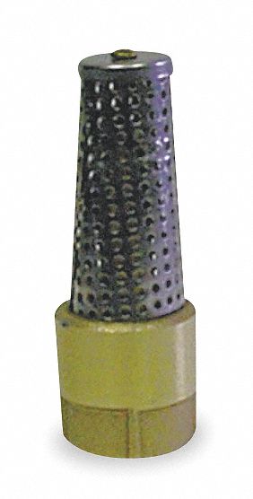 Foot Valve, 2 In, FNPT, Brass