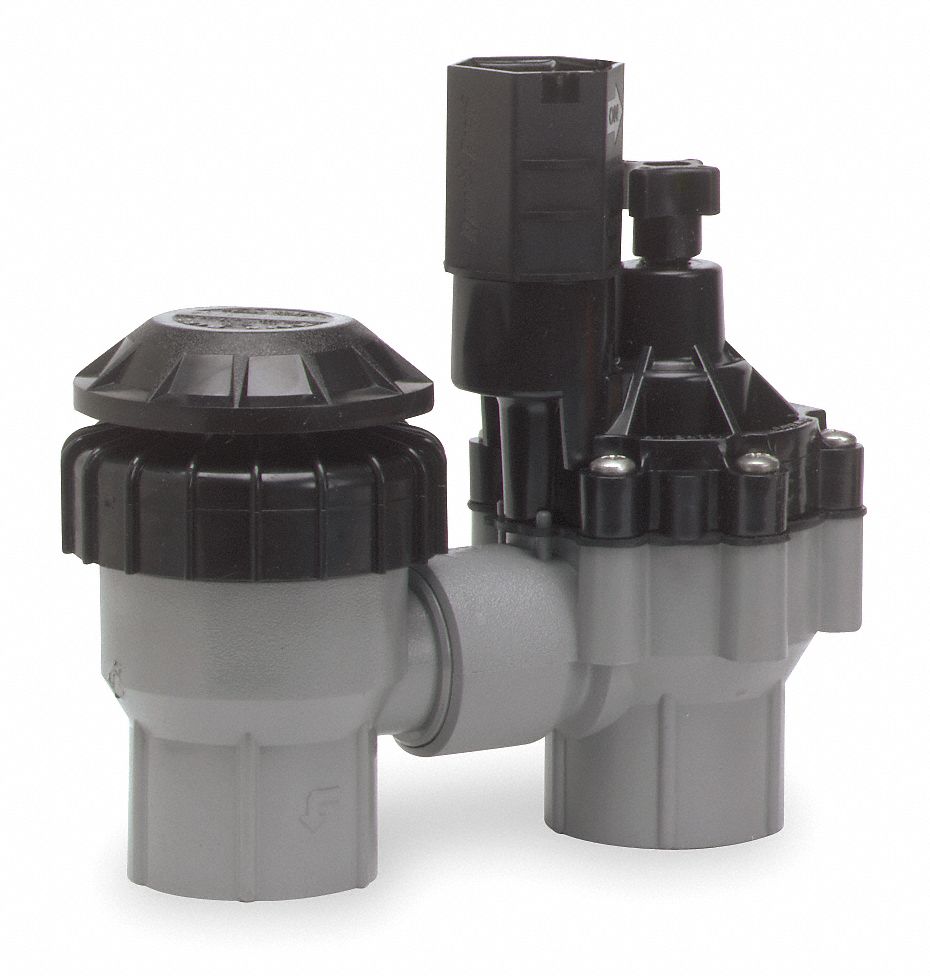 Valve, Antisiphon, 3/4in