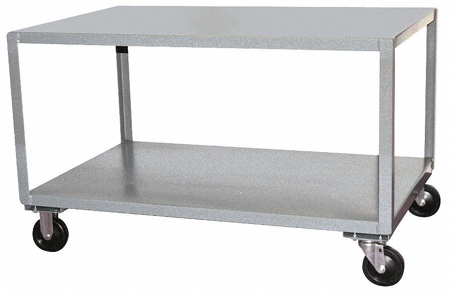 SS Transfer Cart, 30x48x24 In