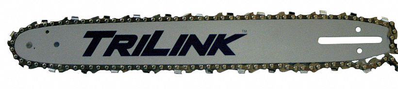 Bar and Chain, 16 In., .050 In., 3/8 In. LP
