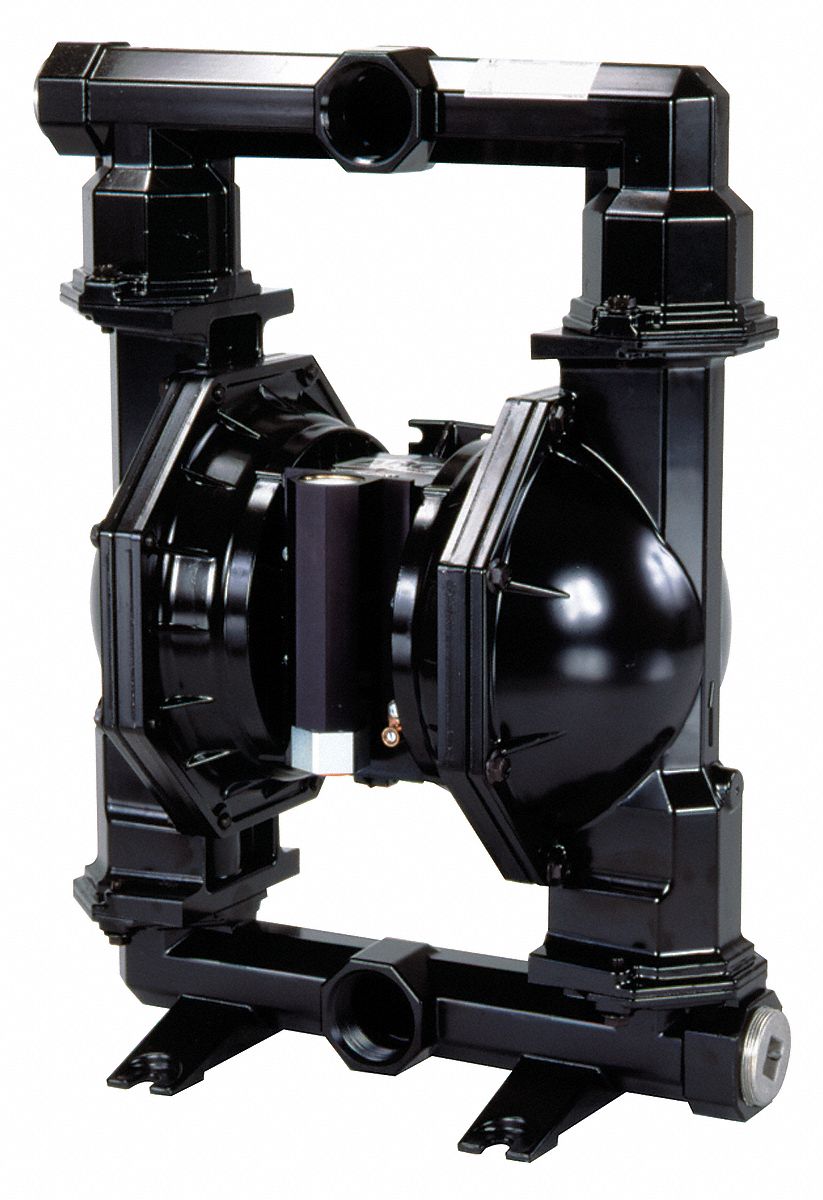 Diaphragm Pump, 2 NPT, 172 GPM