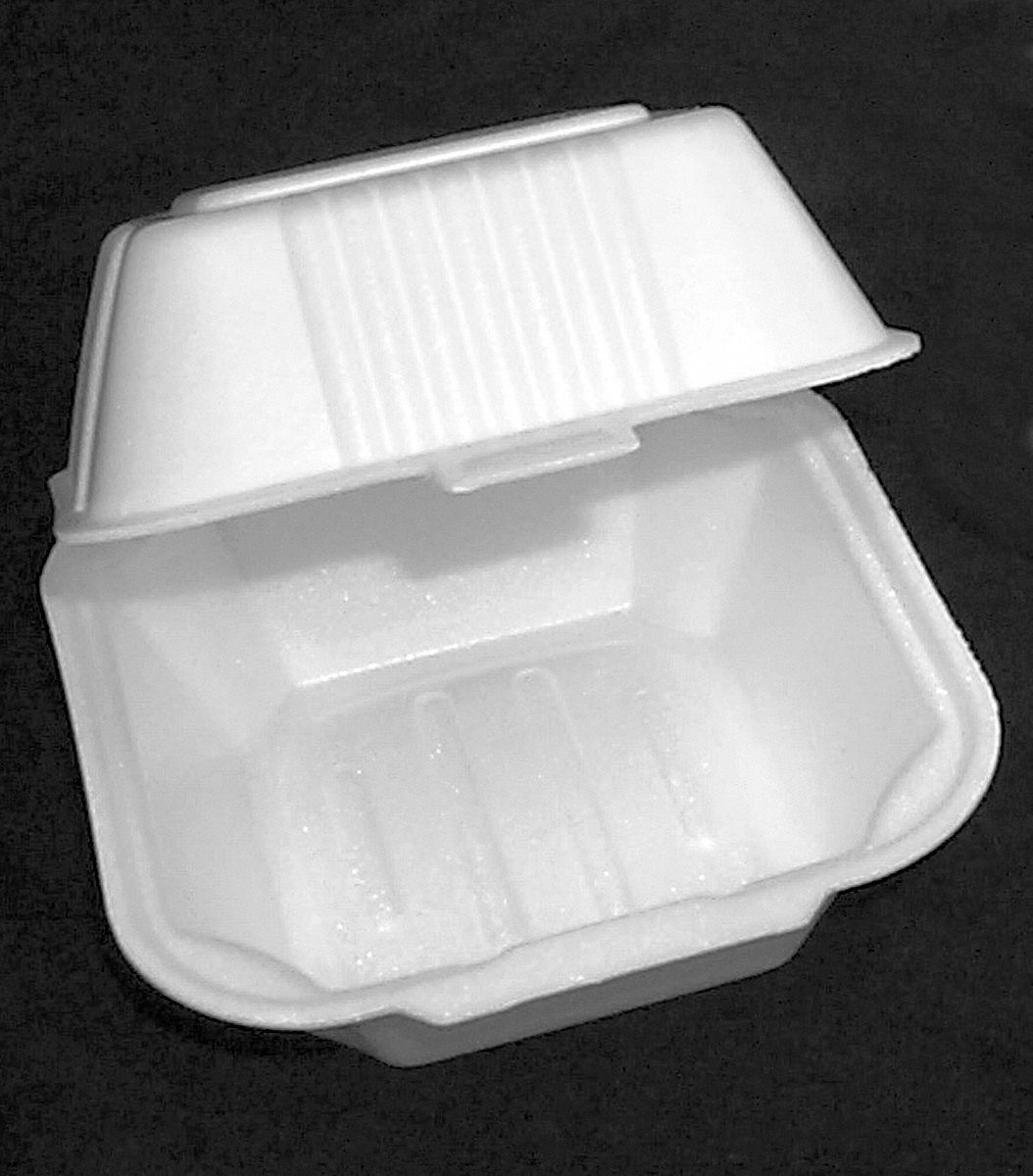 Sandwich Container, PK 504