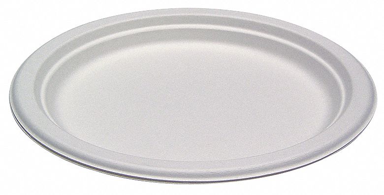 Disposable Plate, 10 1/4 In, PK 500