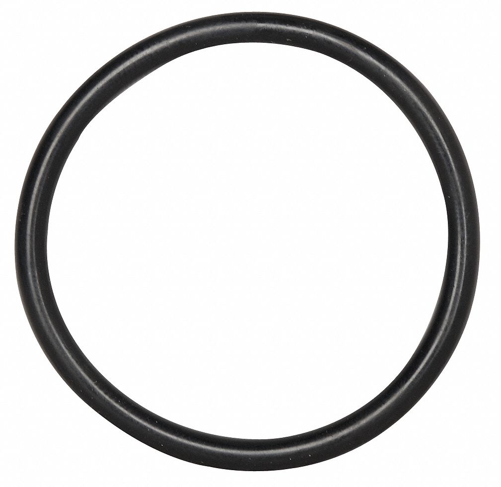 O-Ring Seal, for 1in. Flange, PK10
