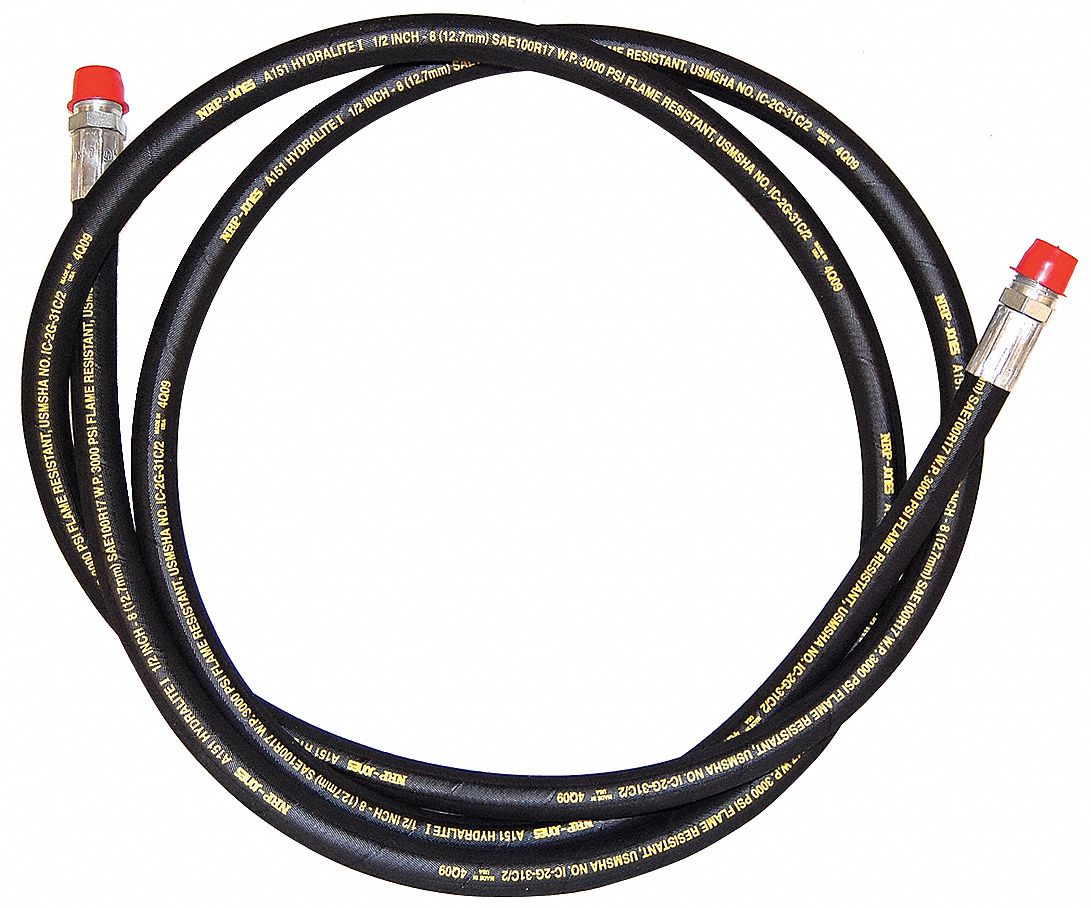 Output Hose, High Pressure, 10 Ft, 1000psi
