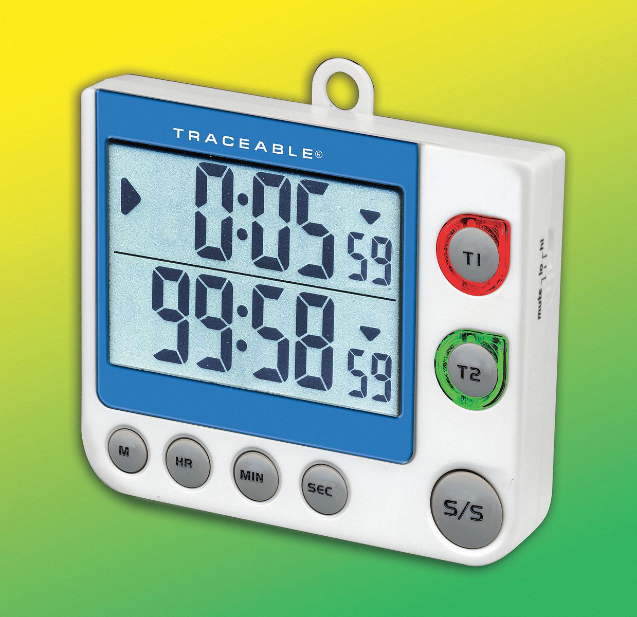 LED, Flash, Big Digit 2-Channel Timer