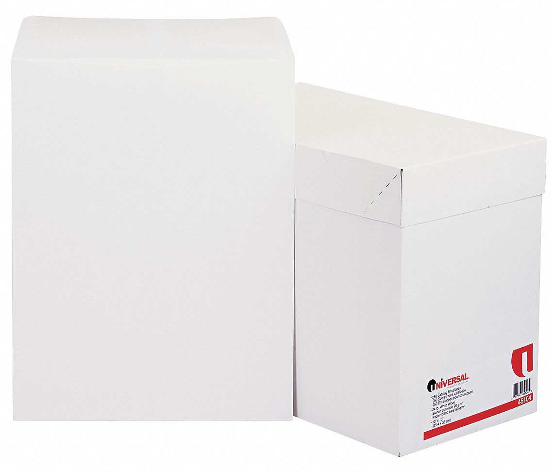 Envelope, 10 x 13, White, PK 250