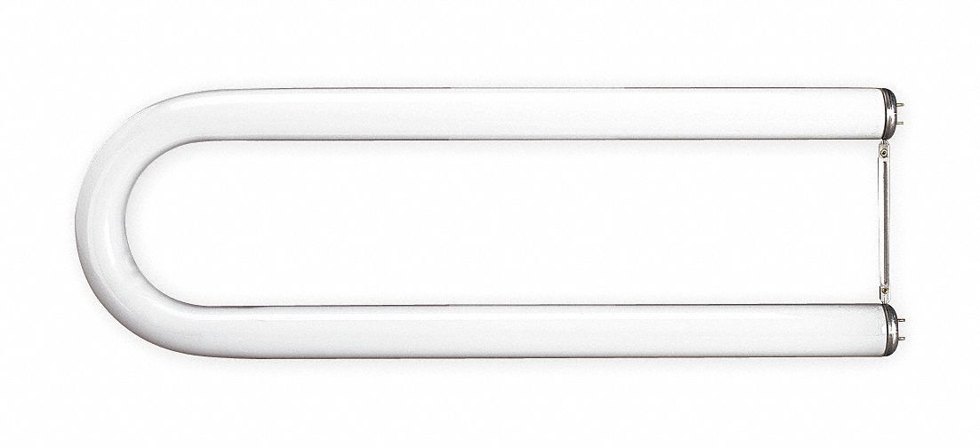 U-Shaped Fluorescent Lamp, 4100K, T12