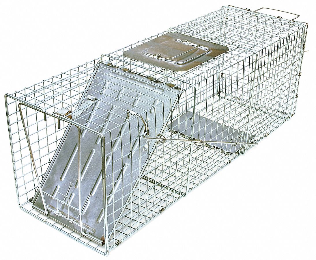 Live Animal Trap, 41x15x15 In.