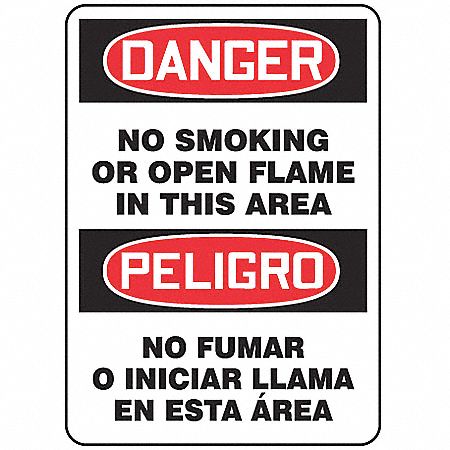 Danger No Smoking Sign, 10 x 14In, AL, Text