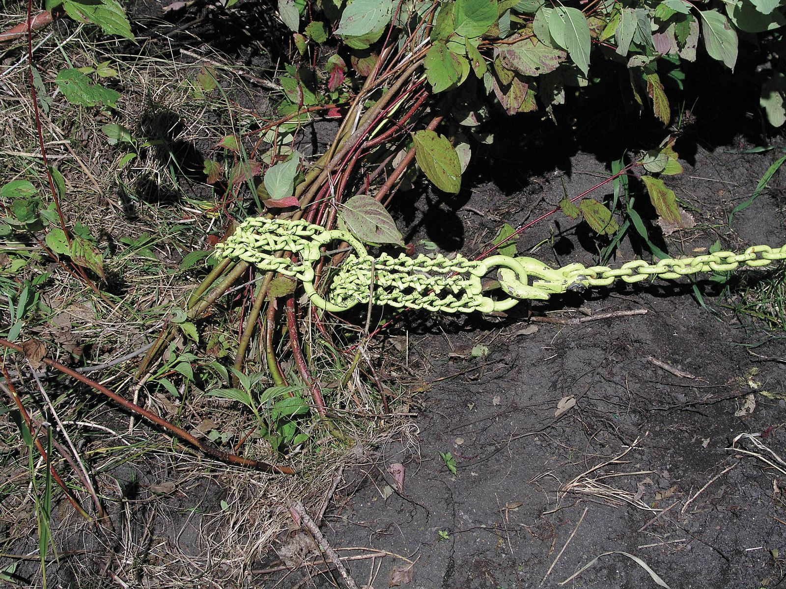 Shrub/Clump Grubber