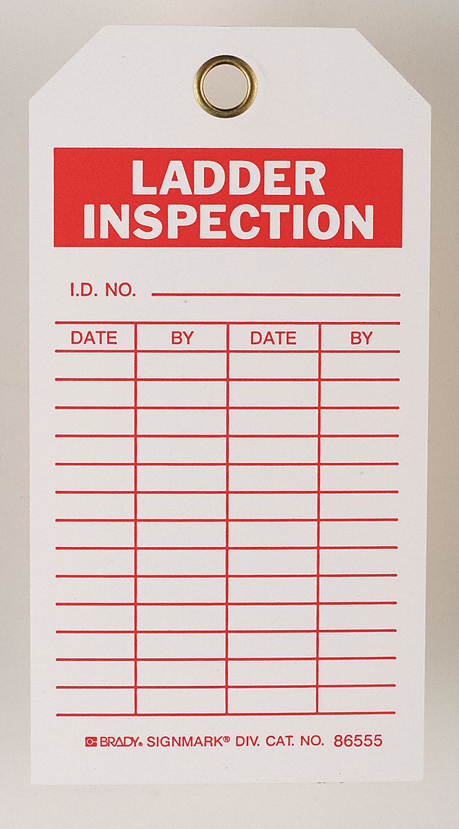Lad Inspection Tag, 5-3/4 x 3 In, PK10