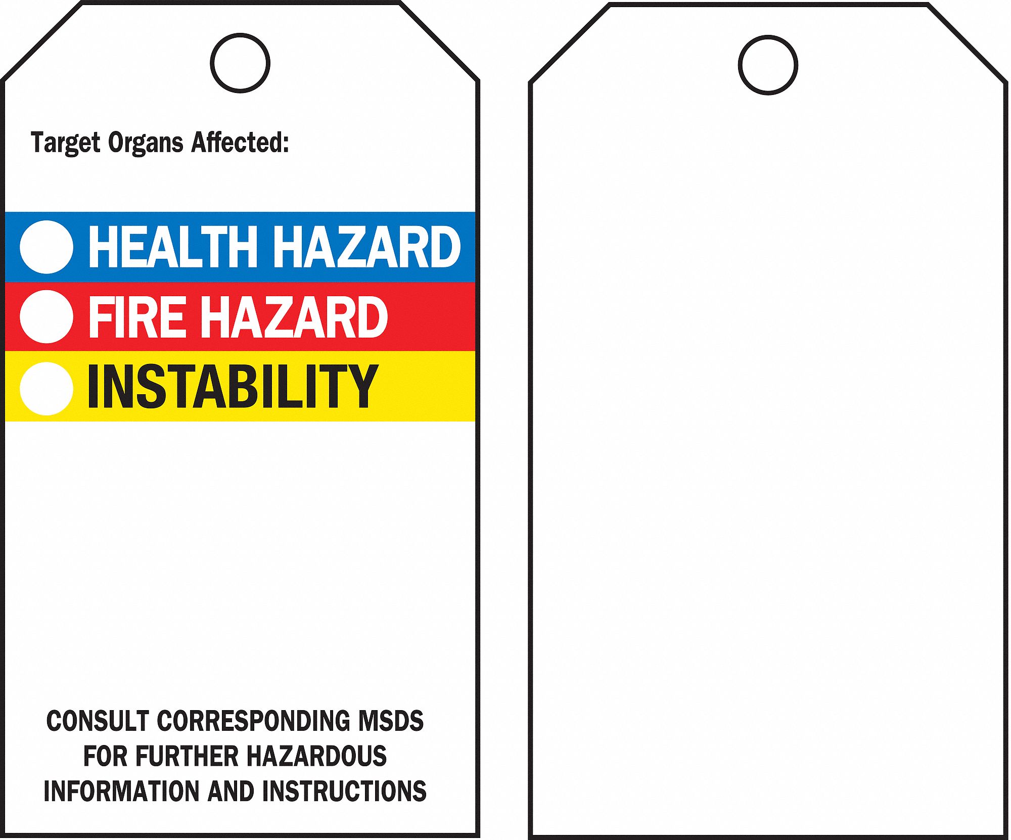 Tag, Polyester, HMIG Color Bar, PK25