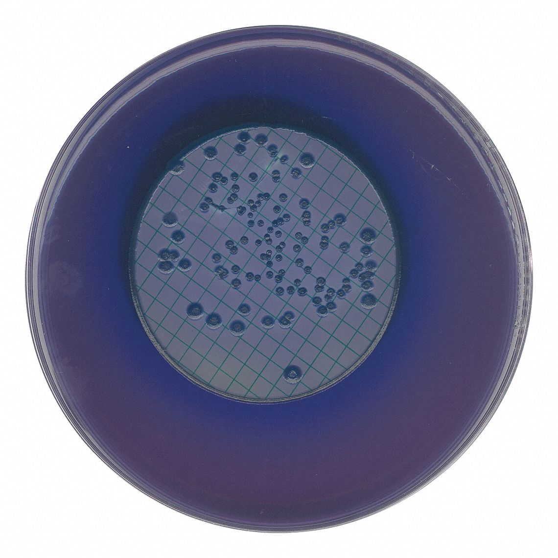 m-FC Agar, 500g