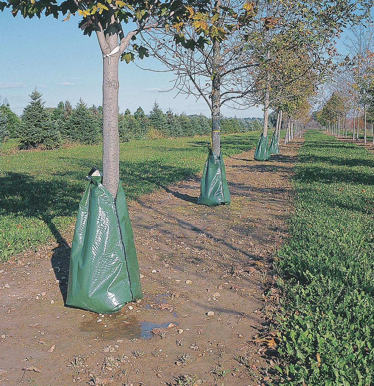 Tree Watering Bag, 20 gal., 4 In. dia.